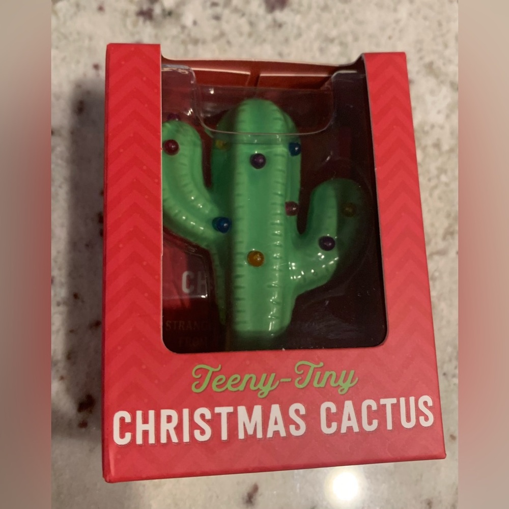 Teeny Tiny Christmas Cactus